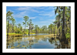 Down on the Bayou - HDR - White Border  - Black Border